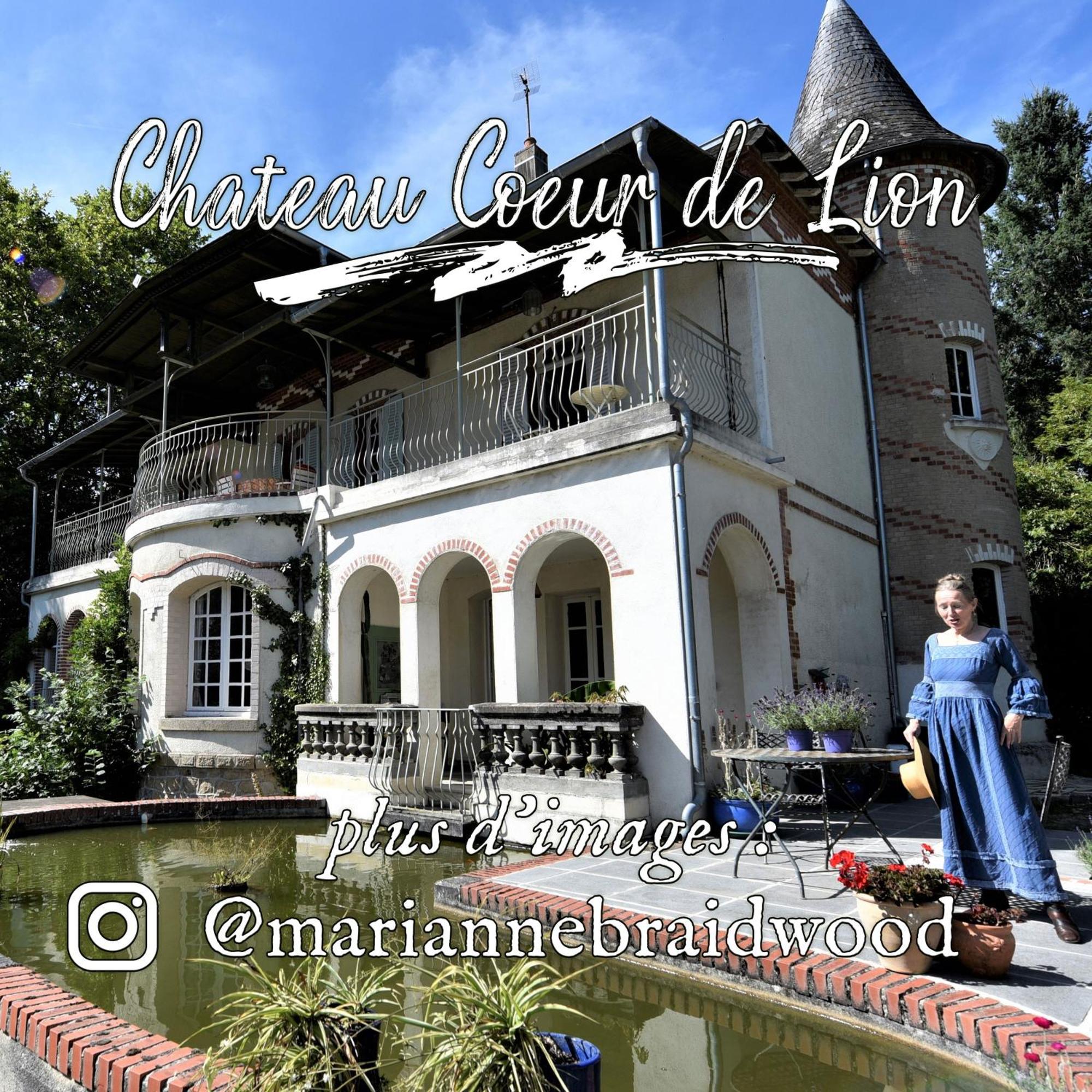 Chateau Coeur De Lion Chateauponsac ภายนอก รูปภาพ