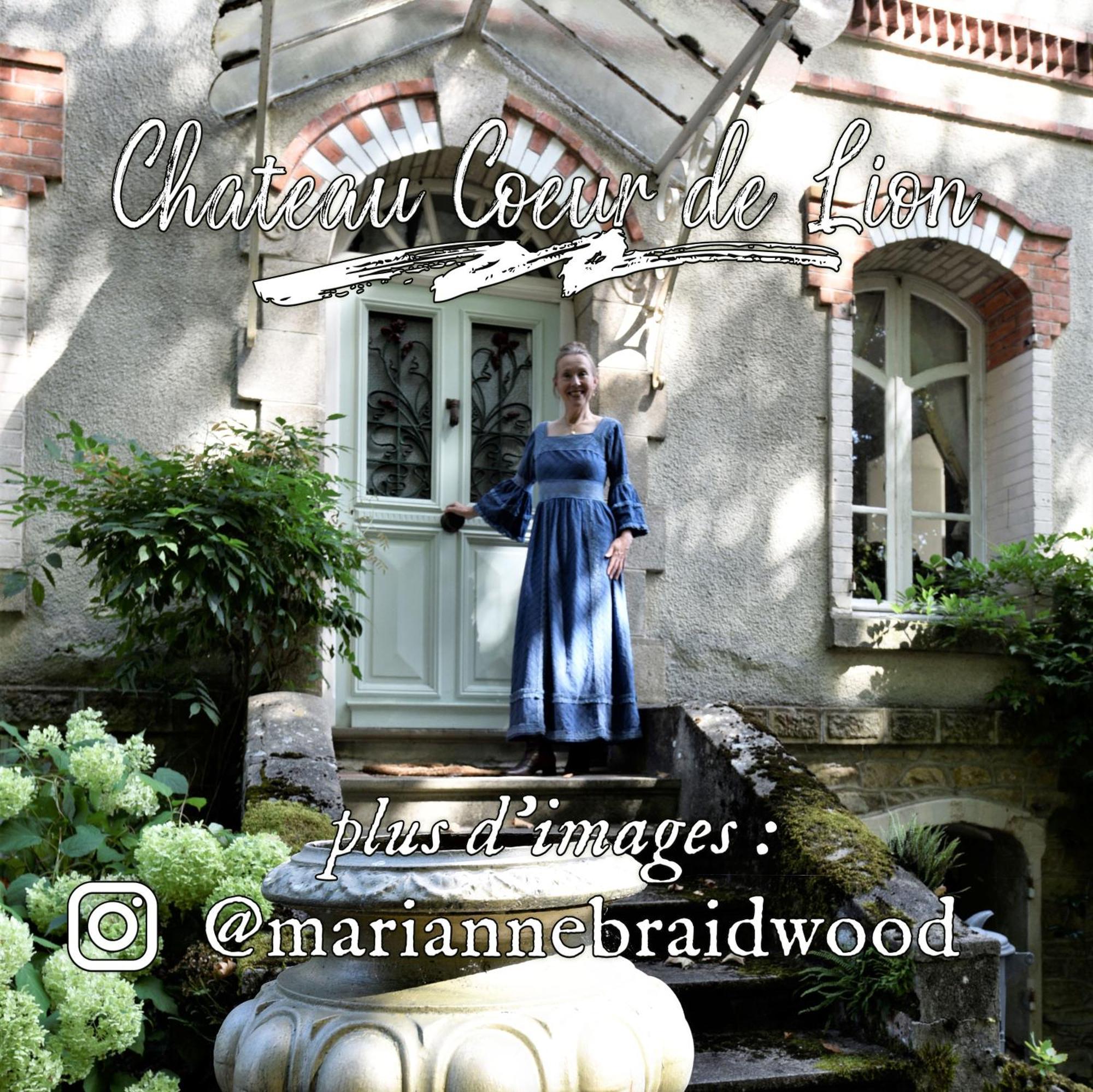 Chateau Coeur De Lion Chateauponsac ภายนอก รูปภาพ